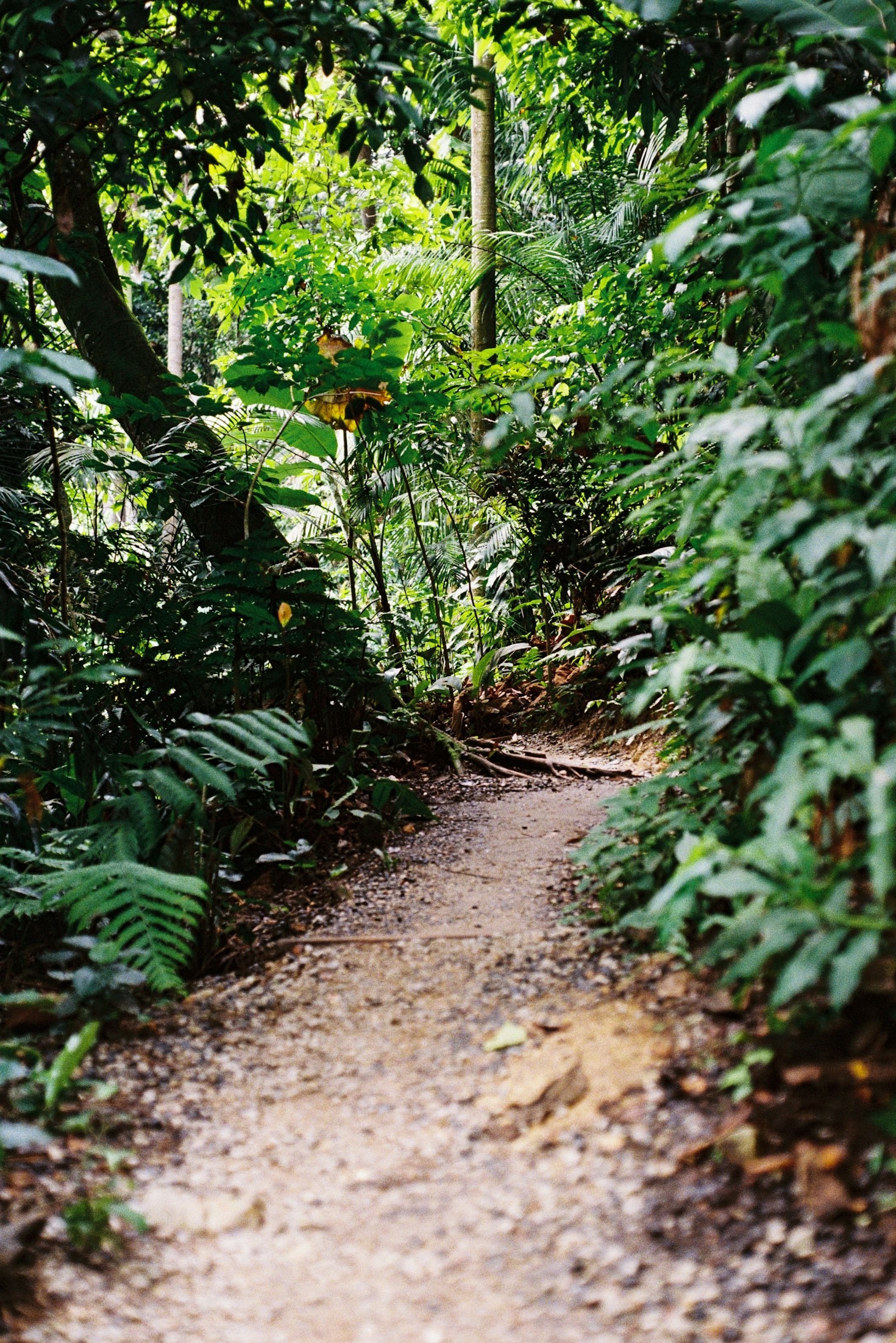 How Tolkien and Lewis Shape Modern Faith Perspectives