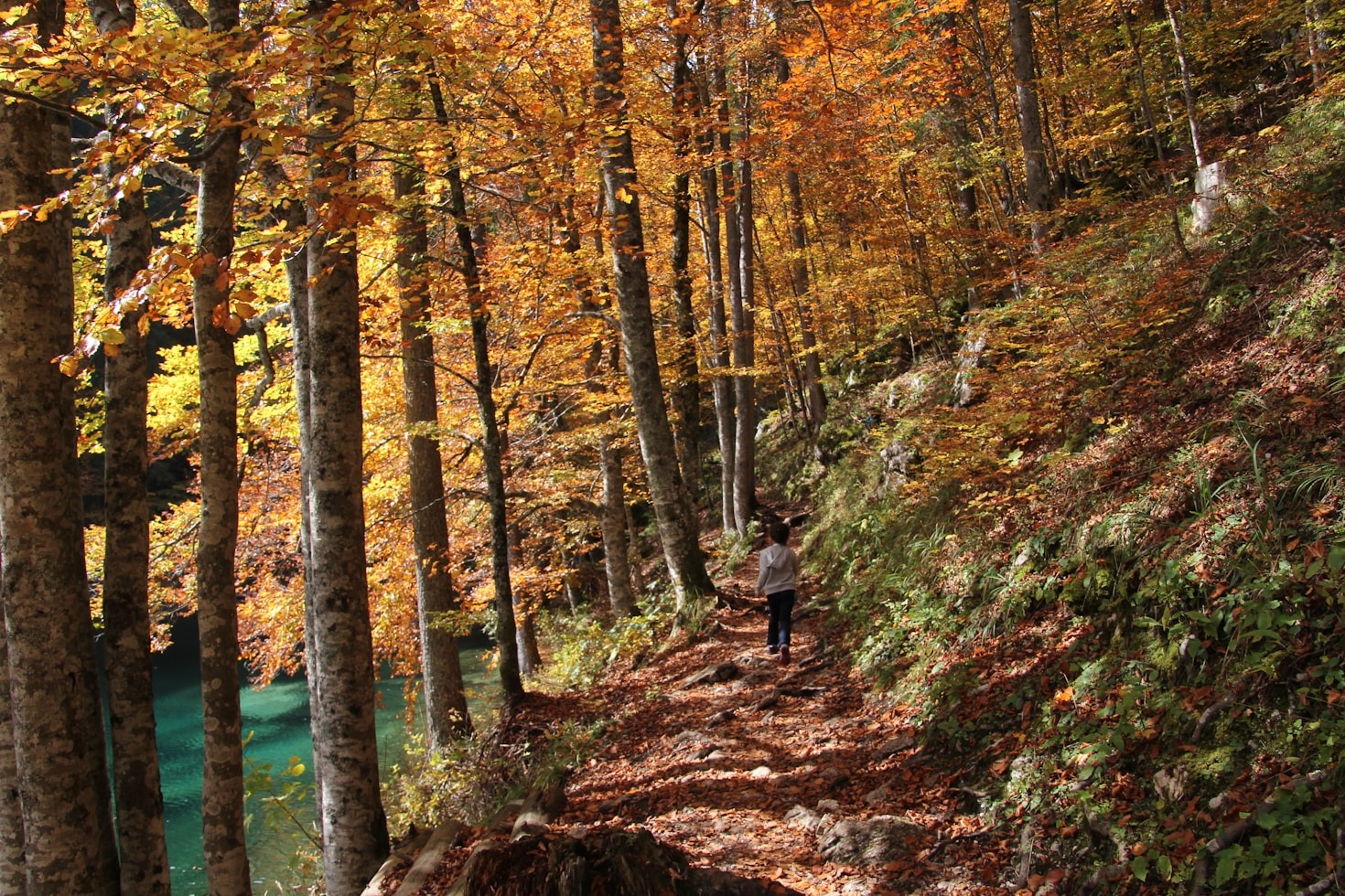 Hiking Trails That Strengthen Both Body and Spirit